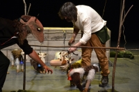 Entrades a la venda i inscripcions obertes